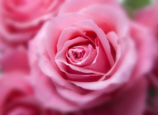 Le Problème de la pudeur juive sur les écrans – Partie 1