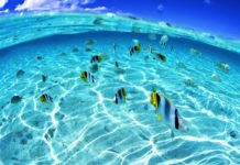 Que faire face aux influences de la société??