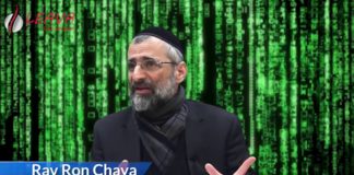 Présentation du site Léava – Pour vos yeux